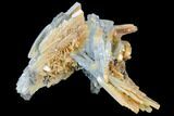 Blue, Bladed Barite Crystal Cluster - Morocco #103383-1